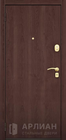 Фото №2 «Дверь металлическая эконом класса с порошковым покрытием стандарт №32»